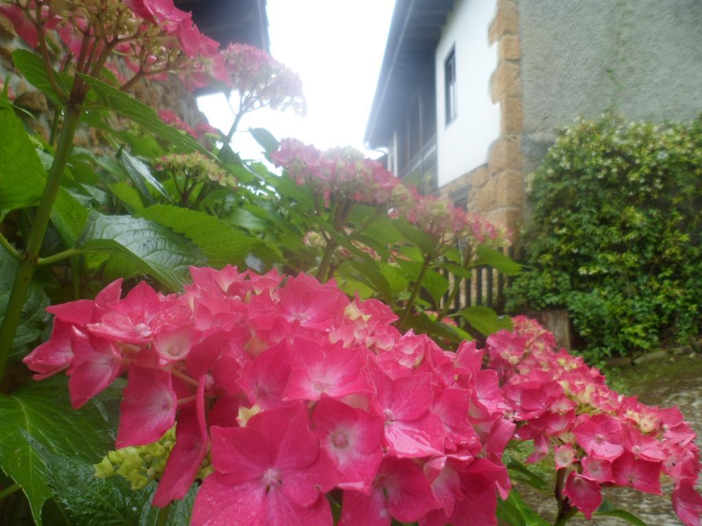 Casa Rural La Retuerta Nava Zewnętrze zdjęcie